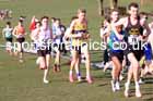 Senior mens 2025 UK CAU Inter Counties Cross Country Champs., Wollaton Park, Nottingham. Photo: David T. Hewitson/Sports for All Pics